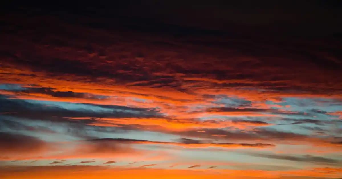 Moda ve Teknolojinin Buluşması: Predator Accuracy 3 ile Yenilikçi Tasarımlar ve Sürdürülebilirlik