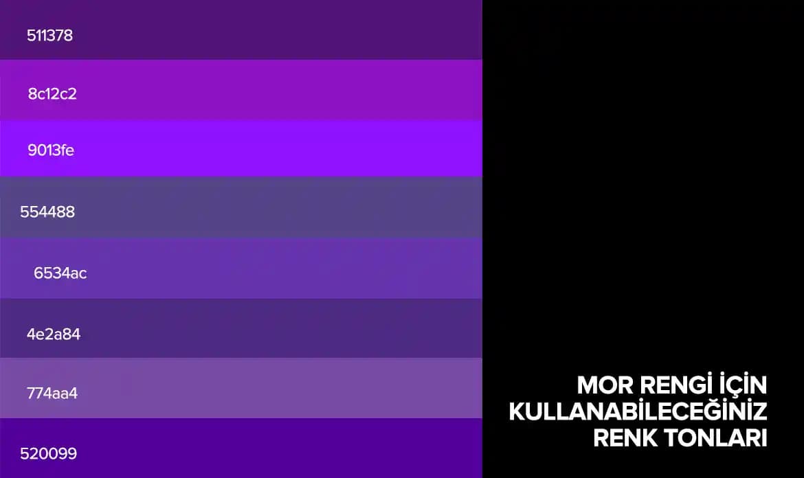 Mor Rengin Moda Dünyasındaki Yeri ve Stil İpuçları