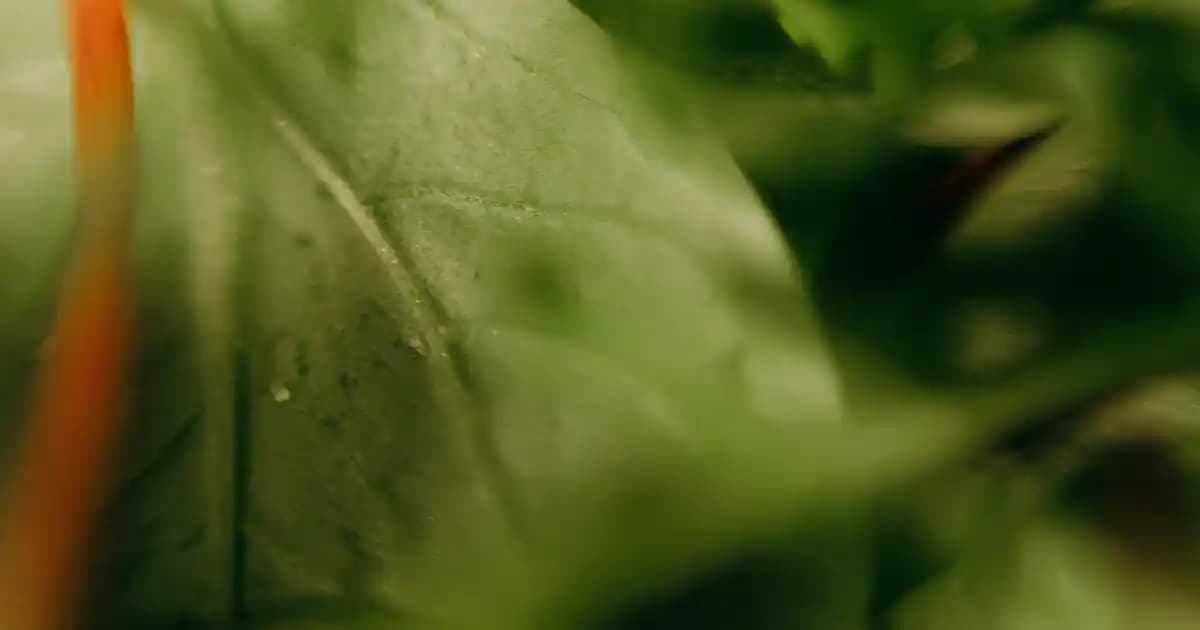 Nike Air Force Erkekler İçin Moda Dünyasında Zamansız Bir İkon ve Stil İpuçları