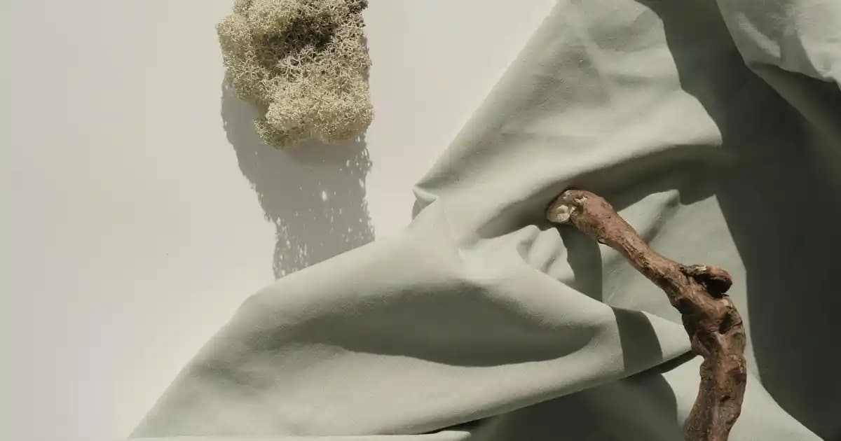 North Face Larimer Koleksiyonu: Şehirli ve Aktif Yaşam İçin Modern Outdoor Giyim