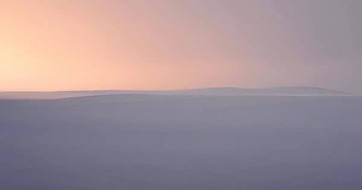 Oxford Yaka Gömleklerin Tasarımı, Moda Trendleri ve Kombinasyon İpuçları