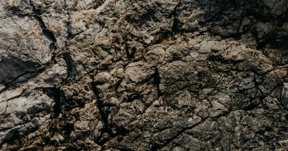 Pantolonlu Mezuniyet Kombinleri: Şıklık ve Konforu Bir Arada Sunan Stil Önerileri