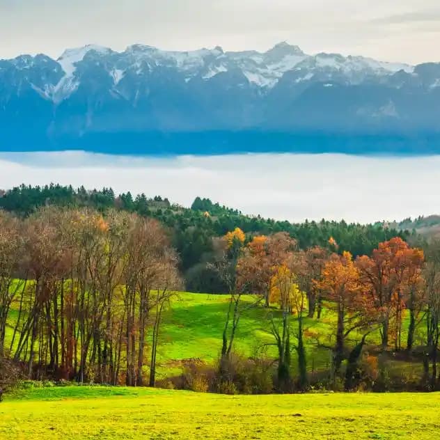 Pelerin Mont Modasında Son Trendler ve Stil İpuçları 2023