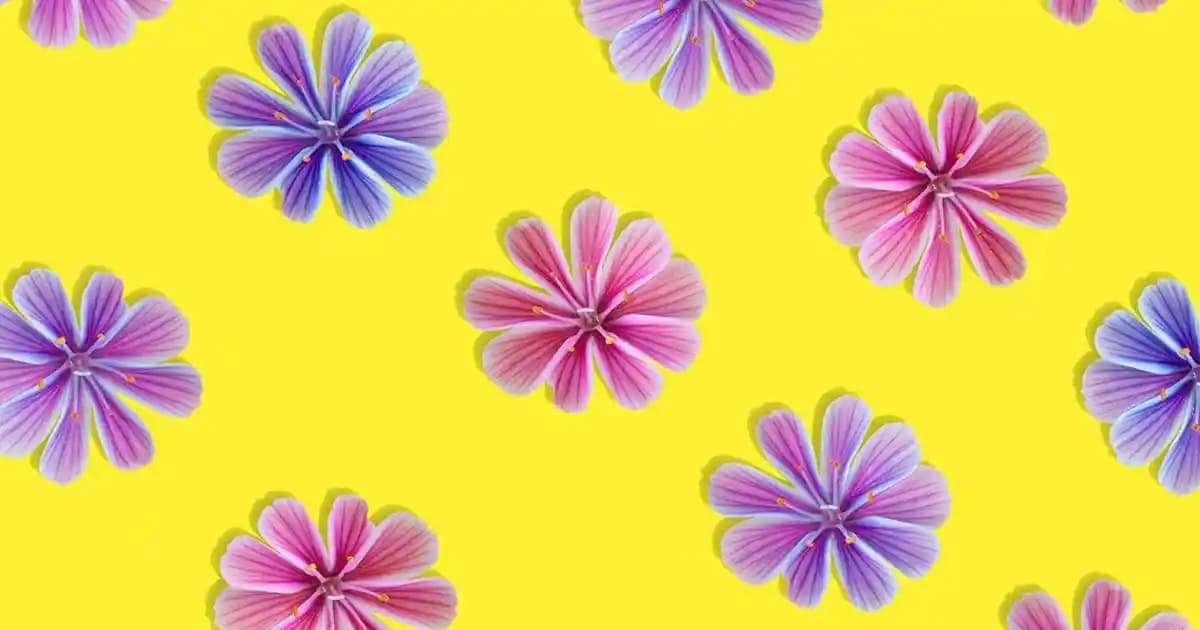 Pierre Cardin ve Modern Smokinin Evrimi: Moda Dünyasında Yenilikçi Tasarımlar ve Trendler