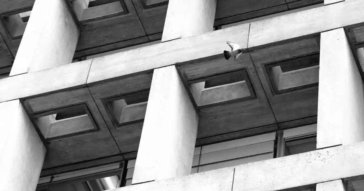 Pokémon ve Moda Buluşması: Pokémon Bere ile Tarzınızı Yaratıcı Şekilde Yansıtın