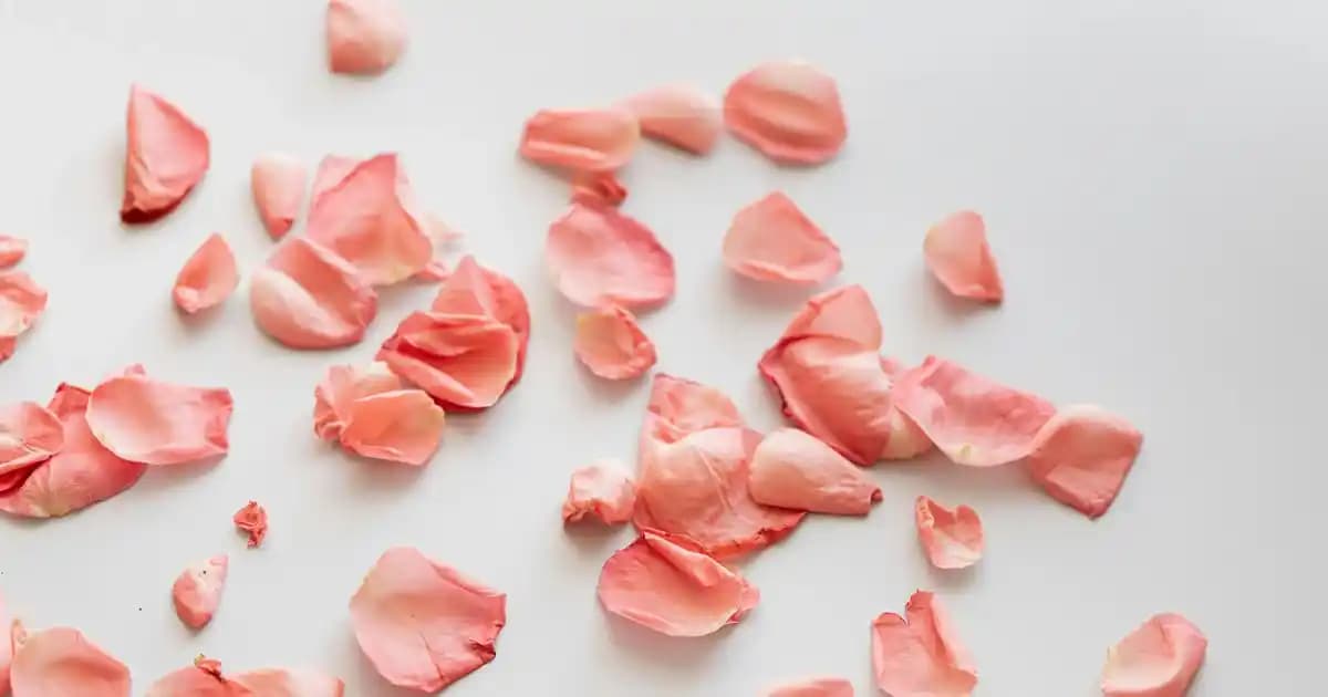 Reebok ve Looney Tunes İşbirliğiyle Moda Dünyasında Eğlenceli ve Nostaljik Koleksiyonlar