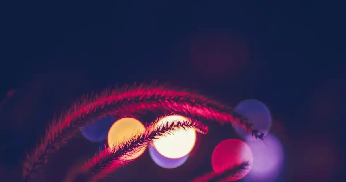 Royal Guards Düğmeleri Moda Dünyasında Zarafet ve Stil Simgesi Olarak Öne Çıkıyor