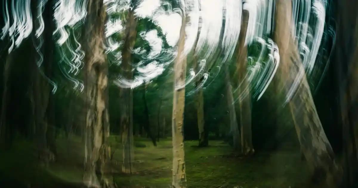 Salomon Erkek Botları: Fonksiyonellik ve Şıklık Bir Arada Günlük ve Outdoor Kullanımına Uygun