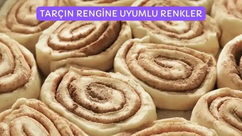 Tarçın Rengine Uygun Renk Kombinasyonları ve Moda Trendleri Rehberi