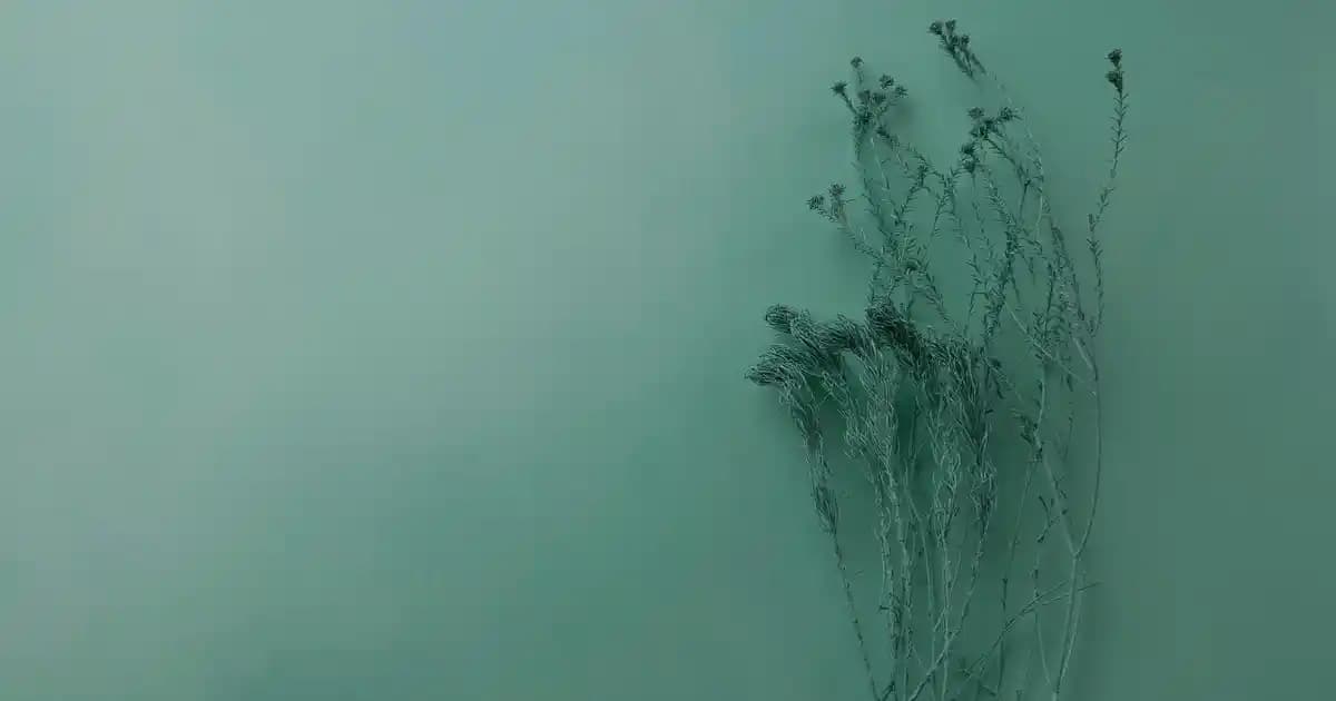 Tommy Hilfiger Bayan Botları: Şıklık ve Konforu Bir Arada Sunan Kış Ayakkabıları