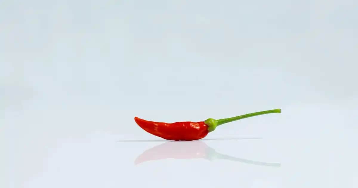 100 Beden Sütyen Nedir ve Doğru Seçim İçin İpuçları