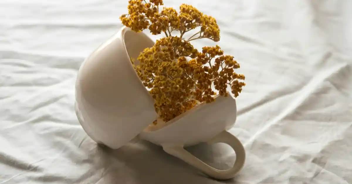 12 Yaş İçin Örgü Kazak Modelleri: Konfor ve Şıklığı Yansıtan Güncel Tasarımlar