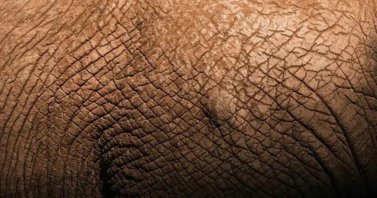 2025'te Bej Rengi Keten Pantolonlarla Erkek Modasında Şıklık ve Rahatlık