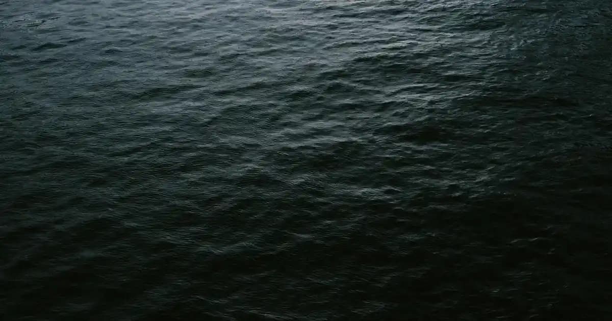 2025'te Beyaz Pantolonun Sırları: Gardırobunuzda Devrim Yaratın