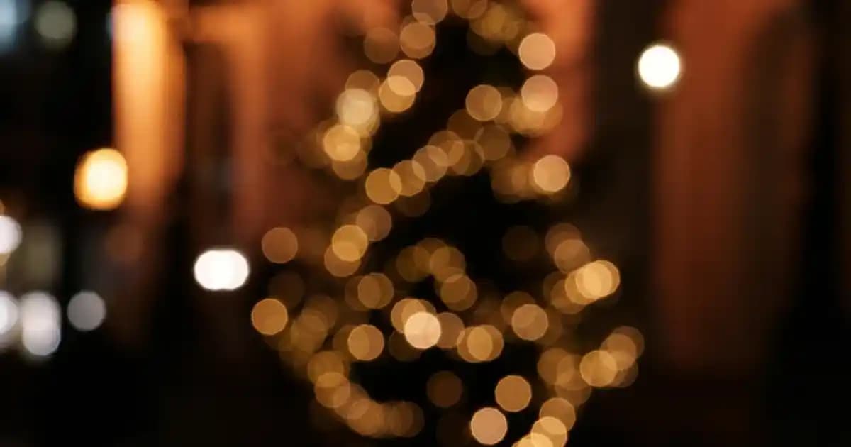 2025'te Çoban Hırkasıyla Geleneksel Şıklık ve Modern Konforu Keşfedin