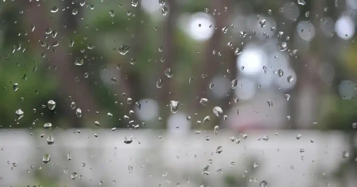 Dik Yaka Kazak Kadın Modelleri: Şıklık ve Konforun Buluştuğu Kış Kıyafetleri Rehberi