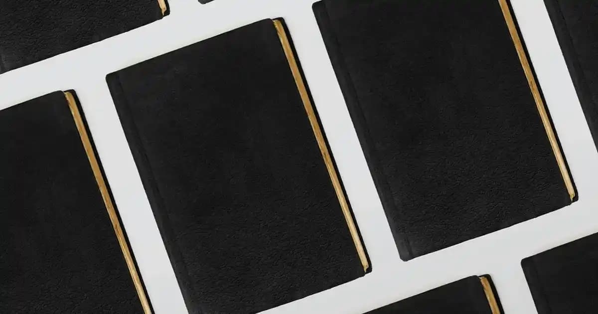Düğünler İçin Bayan Takım Elbisesi Seçenekleri ve Trendleri Hakkında Bilgi