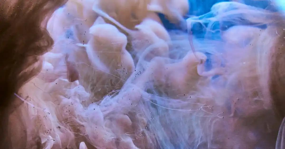 Düz Siyah Erkek Tişörtleri: Moda ve Fonksiyonelliğin Temel Parçası