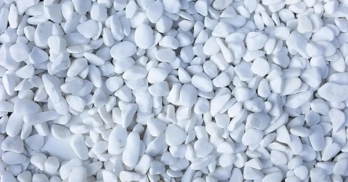 Erkek Çocuklar İçin Deri Mont Seçerken Dikkat Edilmesi Gerekenler ve Trendler