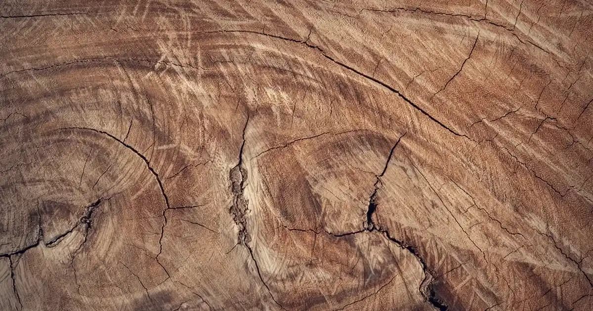 Erkek Giyiminde Geniş Paça Pantolonların Popülerliği ve Stil Önerileri