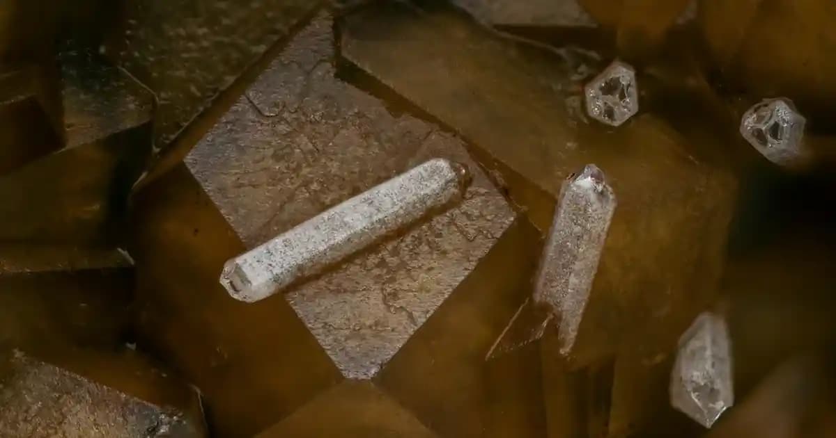 2025'te Erkek Kot Gömleklerinde Devrim: Stilinizde Fark Yaratın