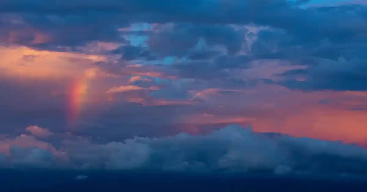 Erkek Uzun Mont Seçenekleri: Şıklık ve Fonksiyonellik İçin Kapsamlı Rehber