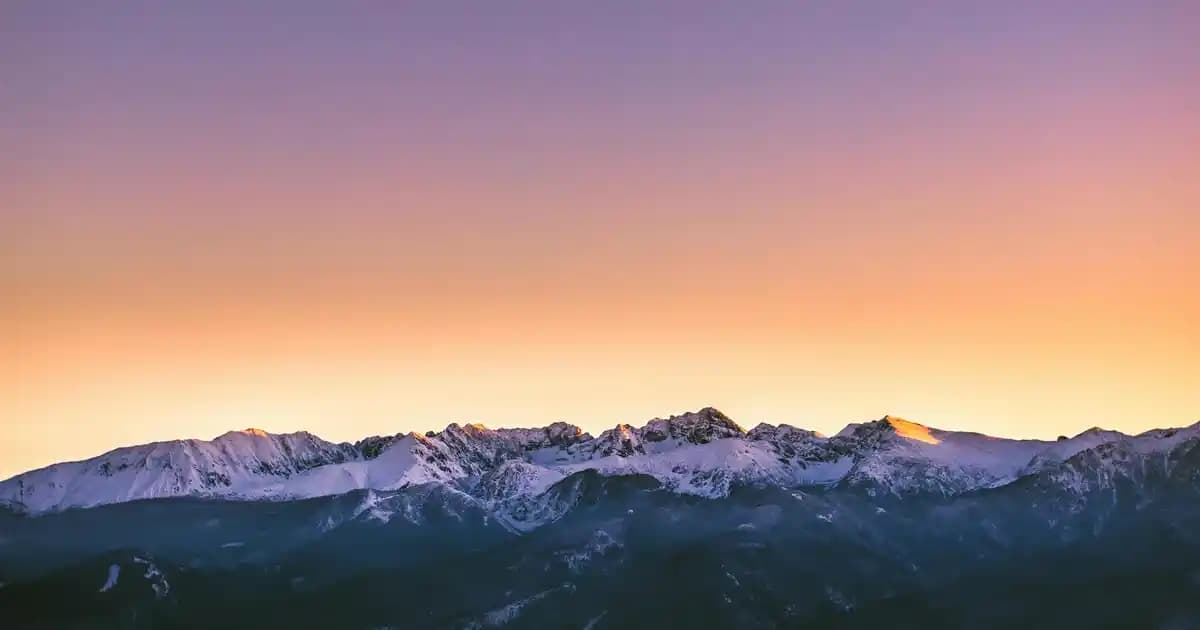 Erkekler İçin Gri Boğazlı Kazaklar: Şıklık ve Konfor Sunan Klasik Parça