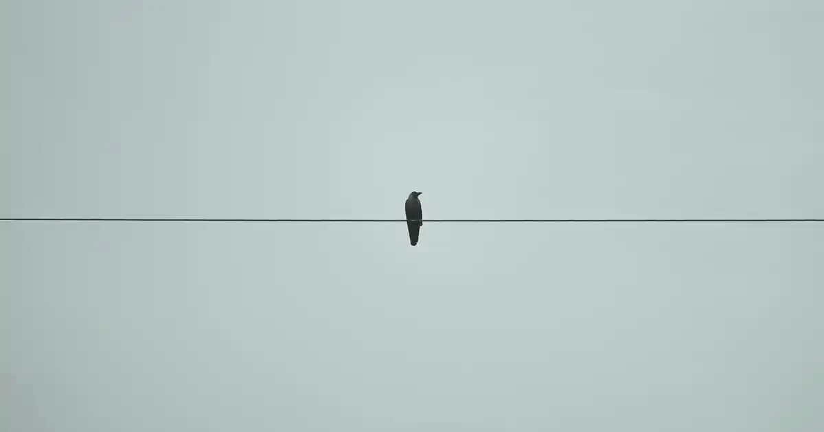 File Bluz Modelleri ve Trendleri: Yaz Aylarında Şıklık ve Rahatlık İçin Güncel Seçenekler