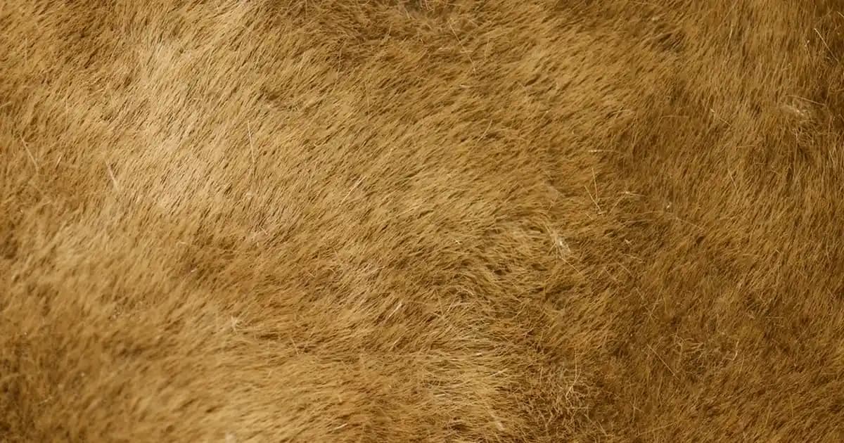 Jean Gömlek Modasında Güncel Trendler ve Kombinasyon İpuçları