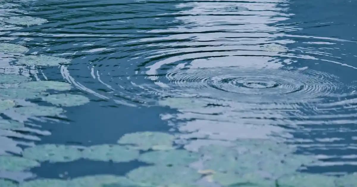 2025'te Kadın Takım Elbise Kombinleriyle Şıklık ve Güvenin 5 Sırrı