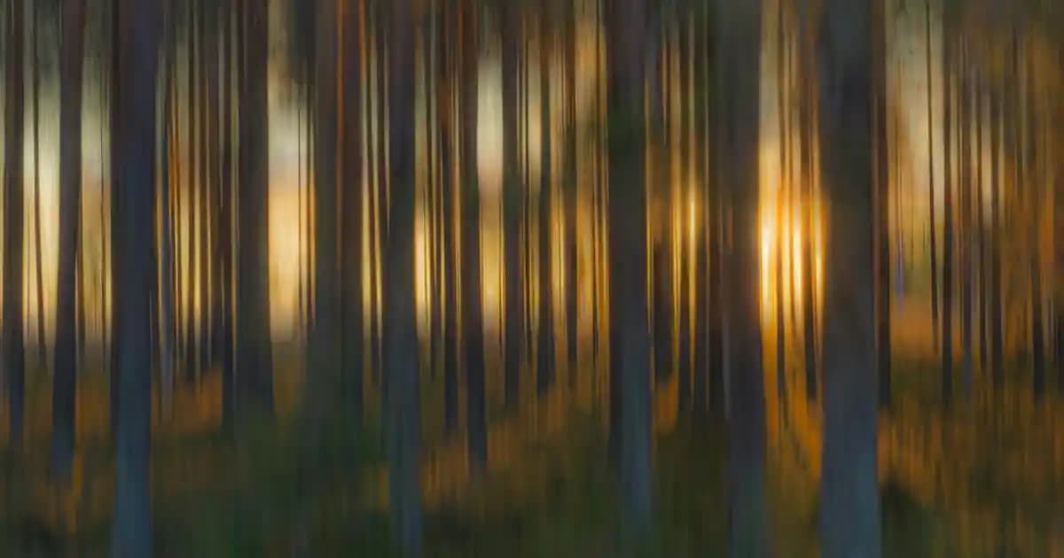 2025'te Kadınlar İçin Şıklığın Sırrı: En Göz Alıcı Bluz Modelleri