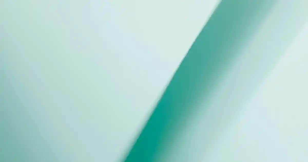 Kadınlar İçin Uzun Kabanlar Moda Trendleri ve Seçim Rehberi 2023