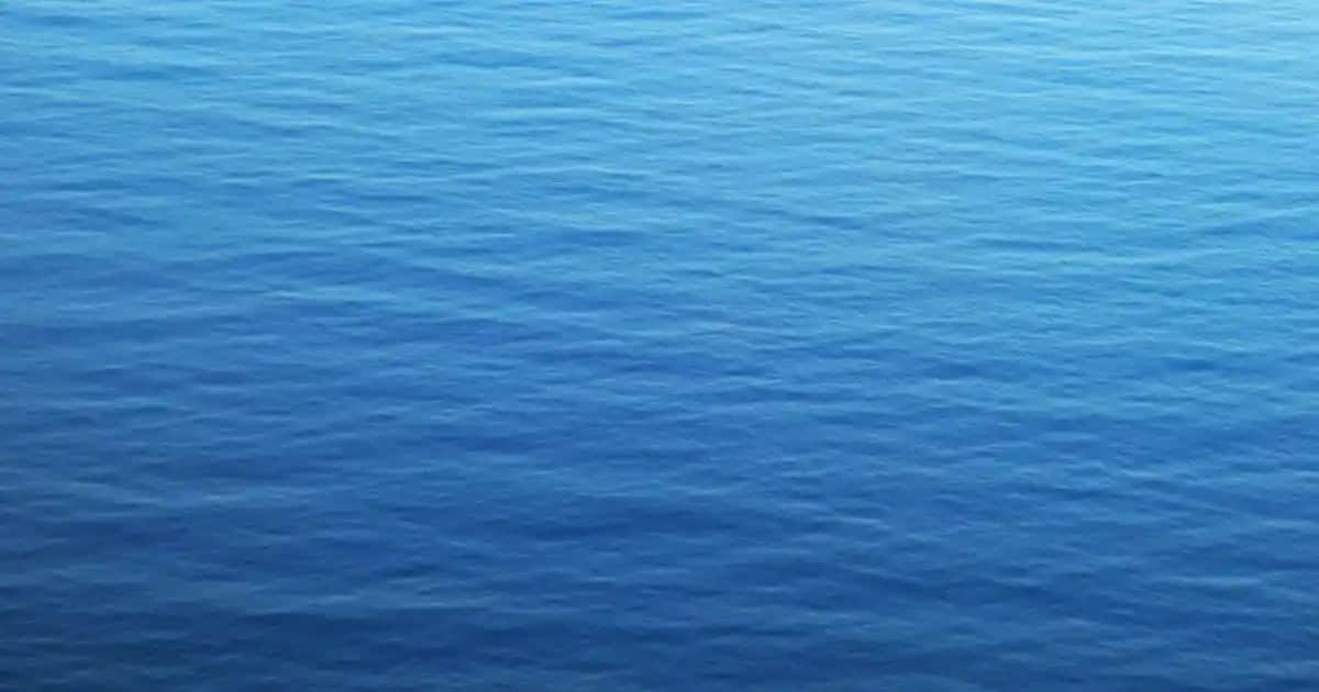 Kahverengi İspanyol Paça Pantolonlarla Tarzınızı Yükseltin ve Günlük Şıklığa Adım Atın