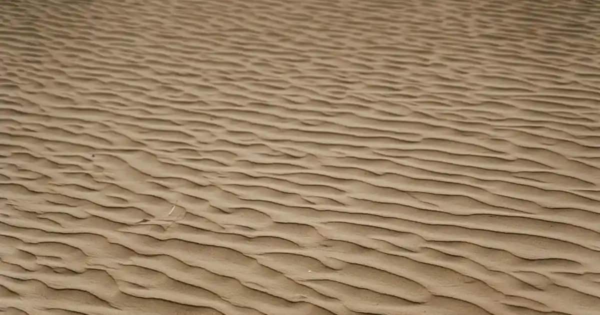 Kız Çocuk Elbise Modelleri ve Trendleri 2024 Güncel Seçenekler ve Alışveriş İpuçları