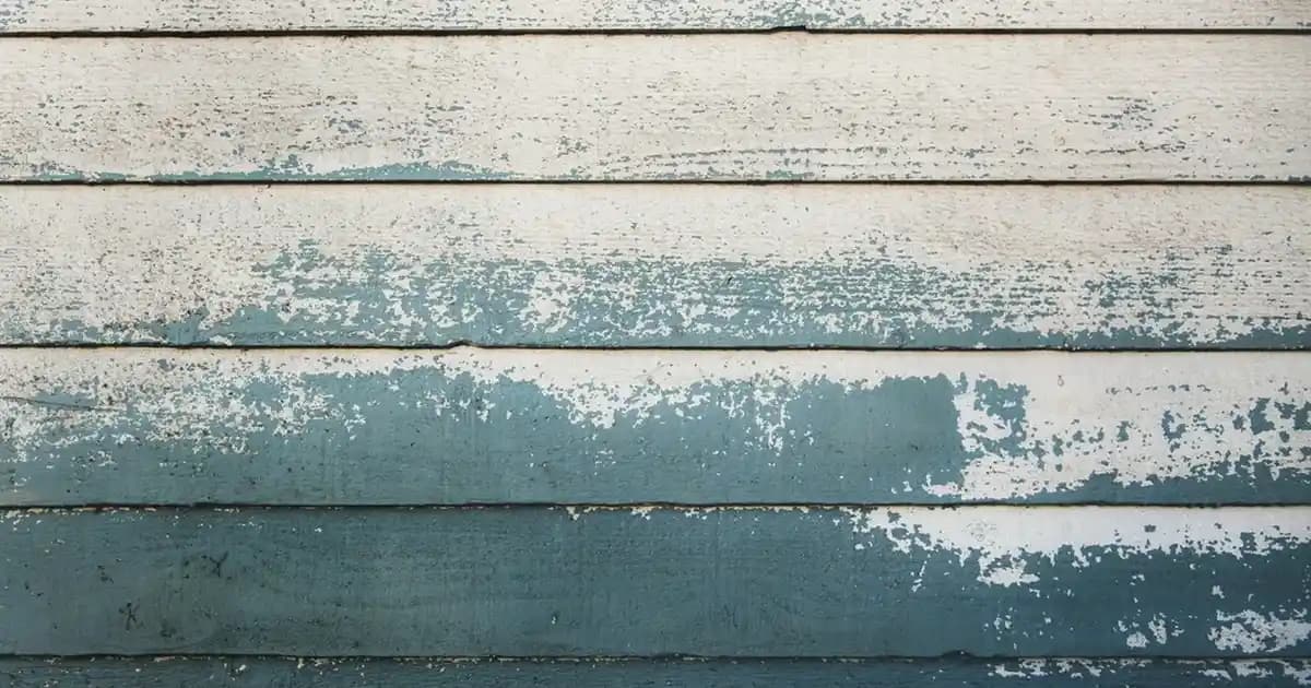 Kız Çocuk Mayo Seçiminde Dikkat Edilmesi Gerekenler ve Güncel Trendler