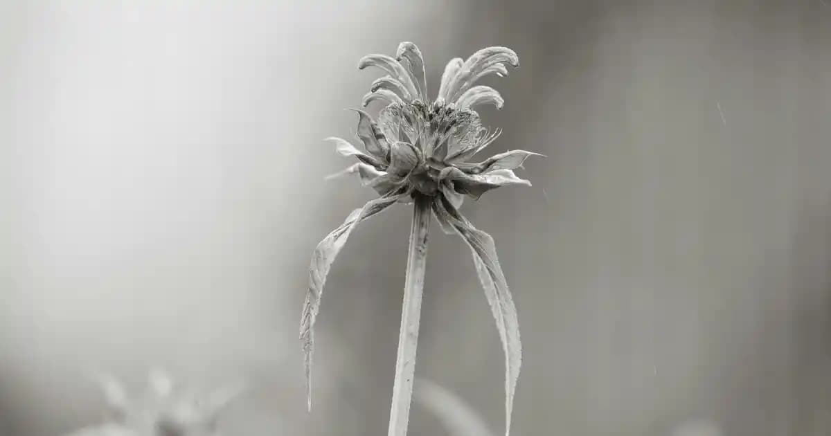 Kot Elbise Çocuk Modelleri: Şıklık ve Konforu Bir Arada Sunan Seçenekler