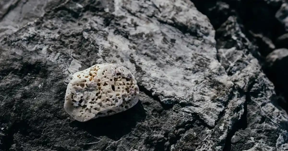 2025'te Koyu Yeşil Elbise ile Gardırobunuzda Devrim Yaratın