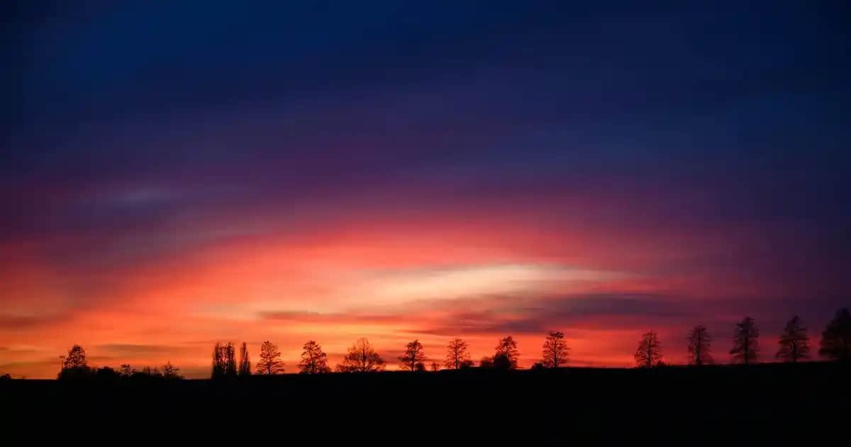 Marka Şişme Montlar: Kış Aylarında Şıklık ve Konforun En Güçlü Seçeneği