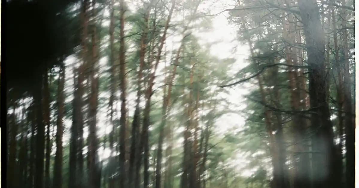 Mickey Mouse Şapkaları: Çocuk ve Yetişkinler İçin Eğlenceli ve Trend Moda Aksesuarları