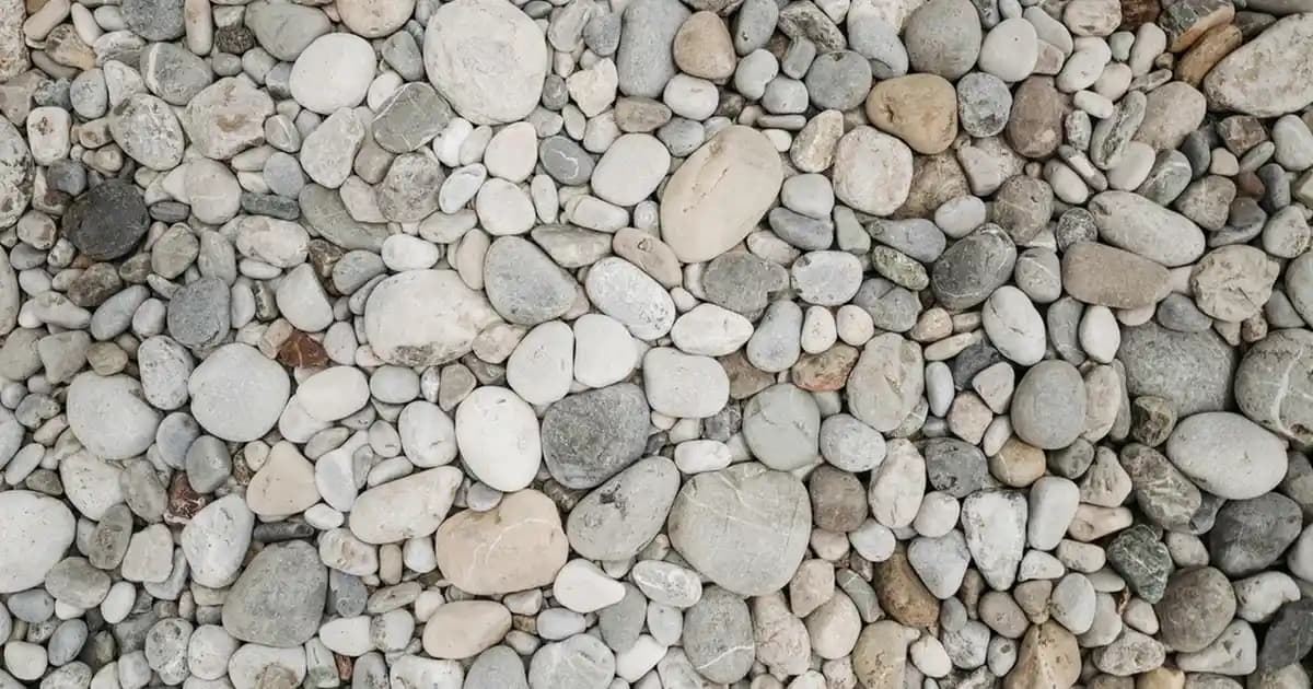 Midi Etek Modelleri ve Kombinasyonlarıyla Şıklığı ve Rahatlığı Yakalayın