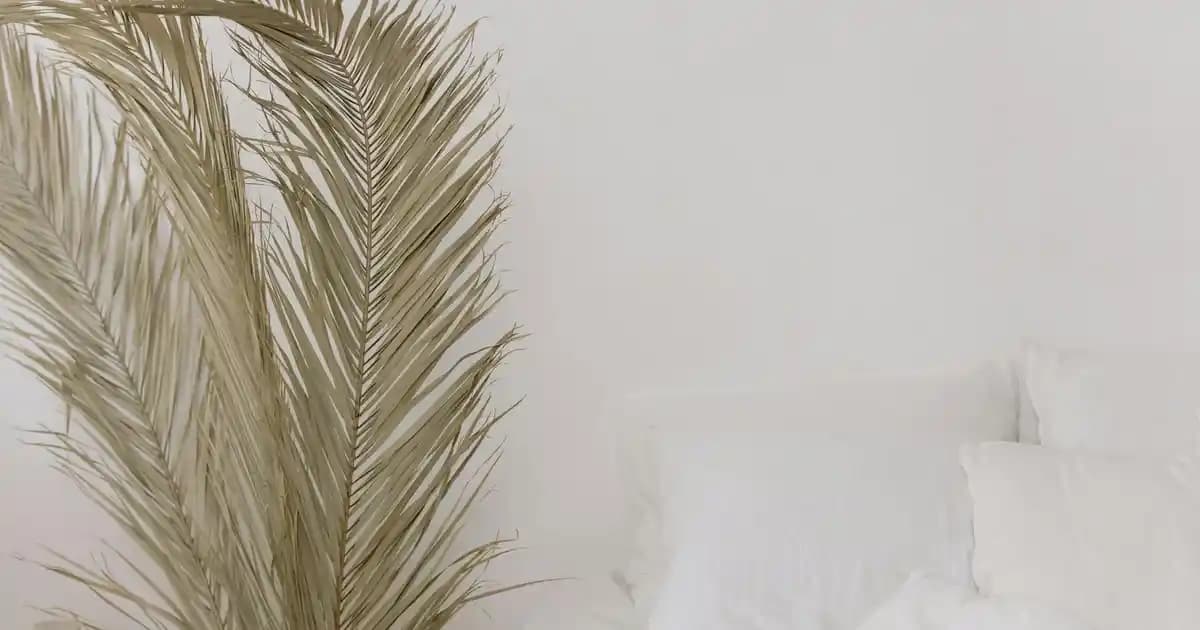 Off Shoulder Kazaklar: Moda ve Konforun Buluştuğu Güncel Trendler ve Kombin İpuçları