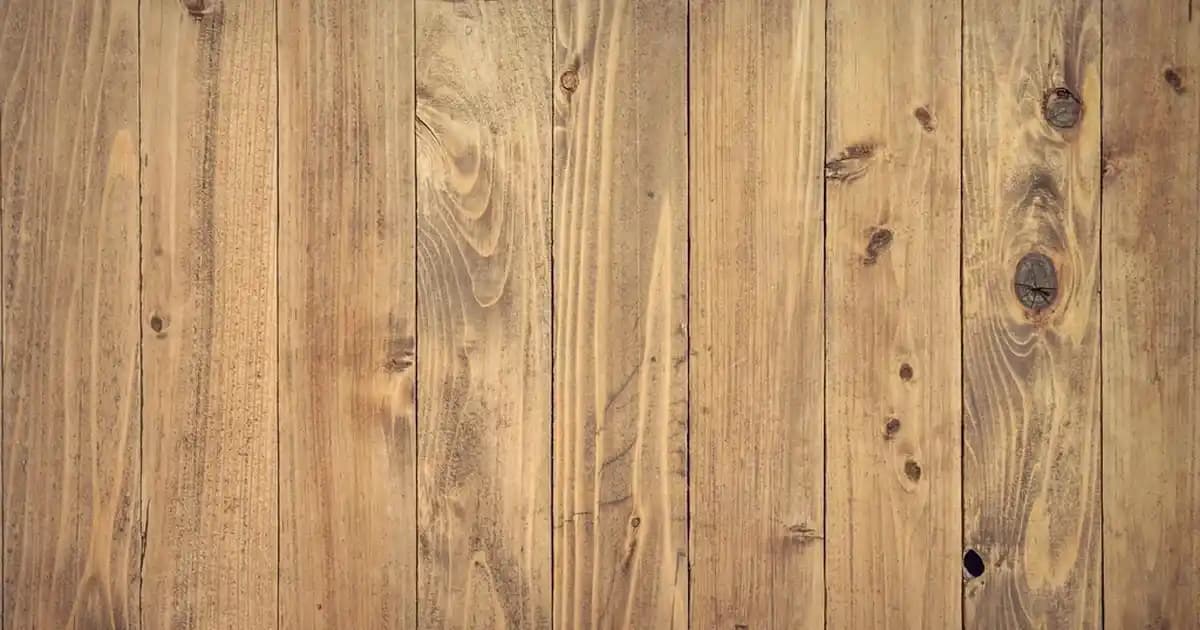 Palmiye Ağaçlı Gömlekler: Tropikal ve Şık Tarzlar İçin Güncel Moda Trendleri