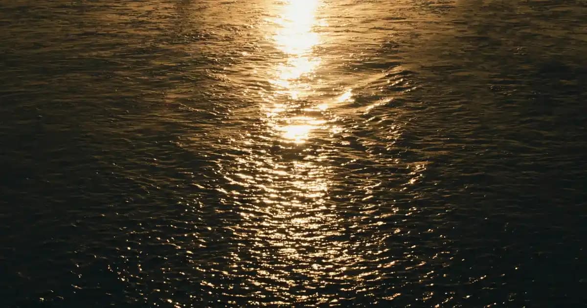 Seyahatleriniz İçin Pratik ve Şık Makyaj Çantası Seçenekleri ve İpuçları