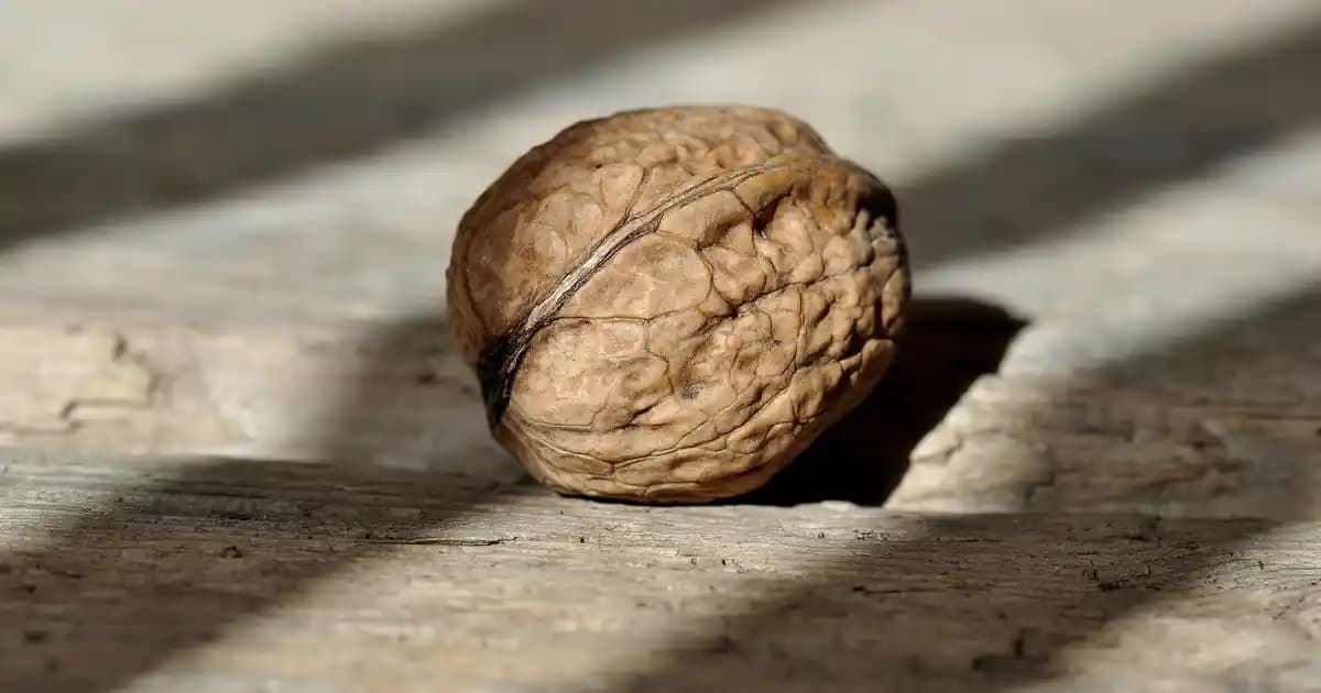 Siyah Boydan Elbise Modelleri ve Seçim İpuçlarıyla Şıklık Yaratın