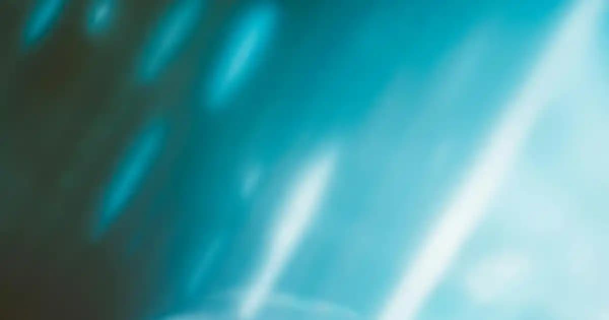 2025'te Siyah Gömlekle Şıklığın 5 Sırrı: Gardırobunuzun Gizli Silahı