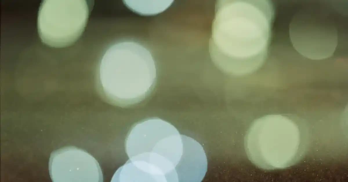 Siyah Parlak Erkek Montlar: Modern ve Fonksiyonel Giyim Seçenekleri