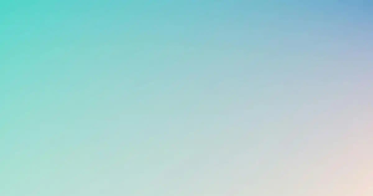 Siyah Pullu Elbise Seçenekleri ve Kombinasyon İpuçlarıyla Şıklığınızı Yükseltin