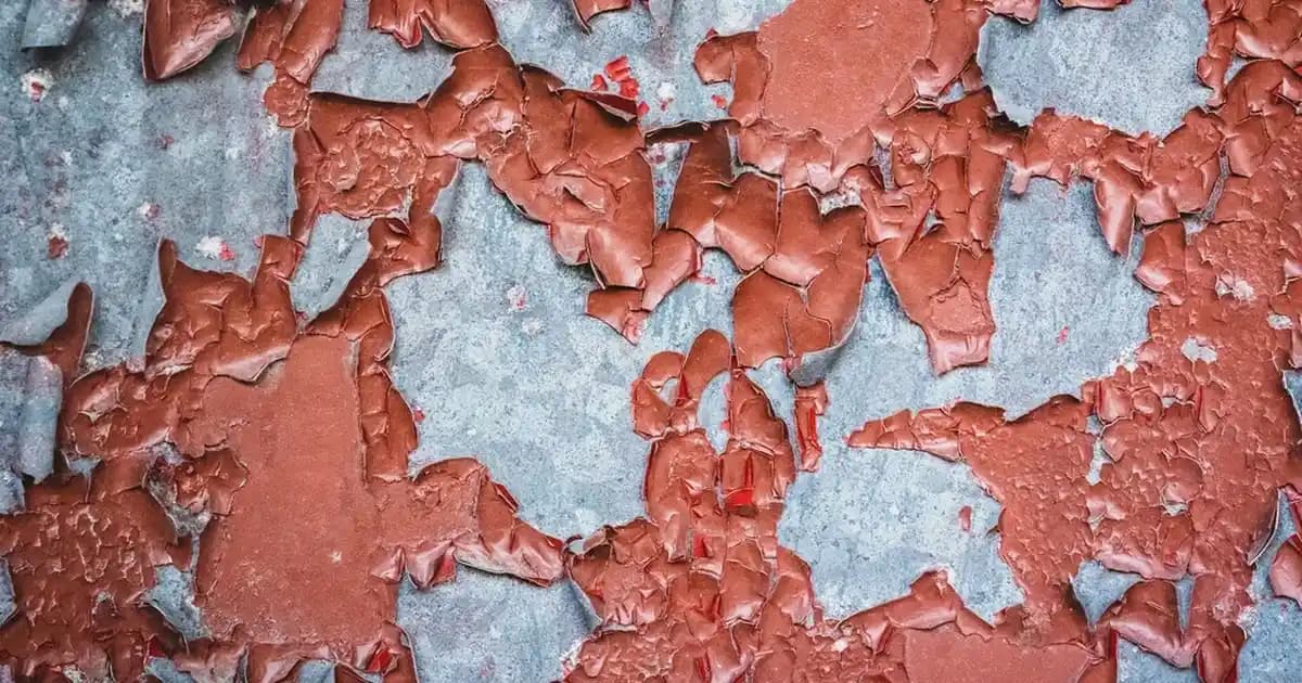 Spider-Man Sweatshirtleri: Günlük Şıklık ve Konfor İçin Popüler Bir Tercih