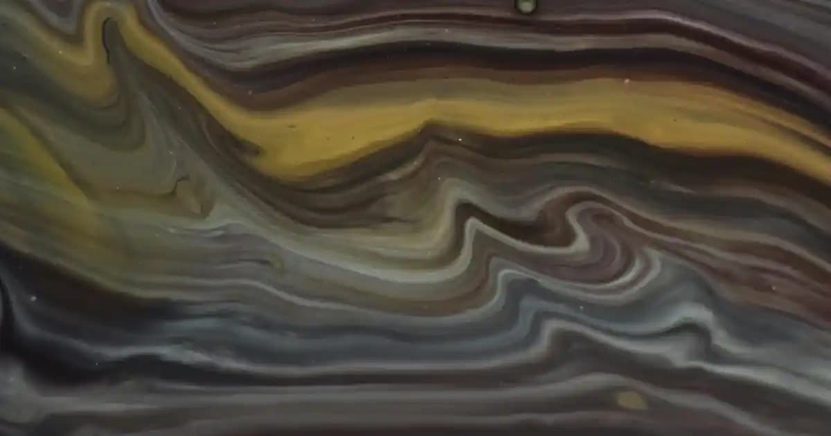 2025'te Vizon Rengi Pantolonlarla Şıklığın ve Rahatlığın 5 Sırrı