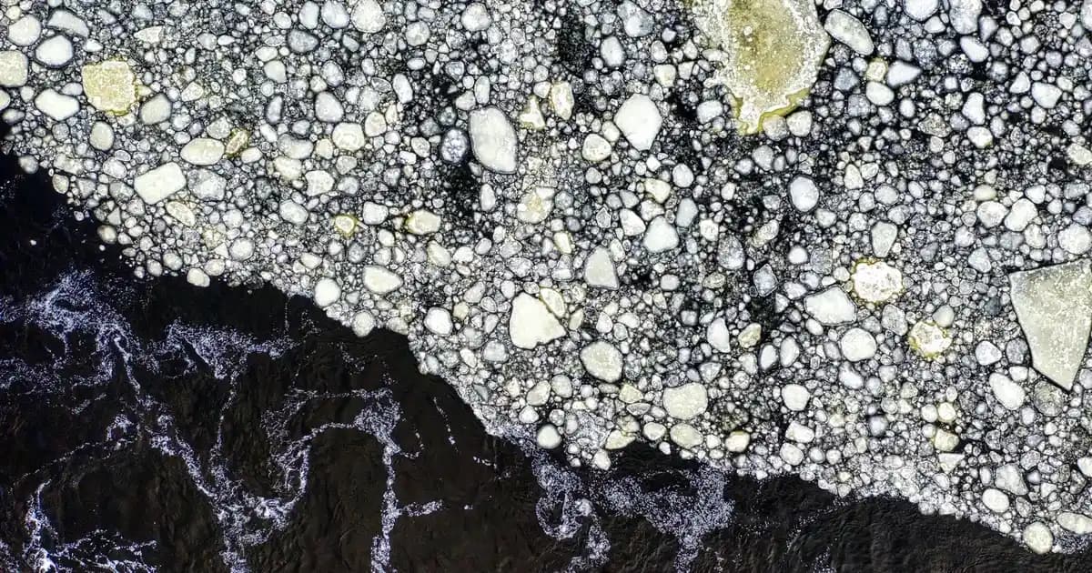 Yünlü Pantolonlar: Şıklık ve Konforun Bir Arada Sunulduğu Kış Giyim Seçenekleri